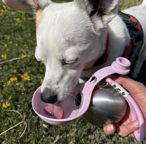 The PawFlask™ | Anti-Spill Travel Bottle
