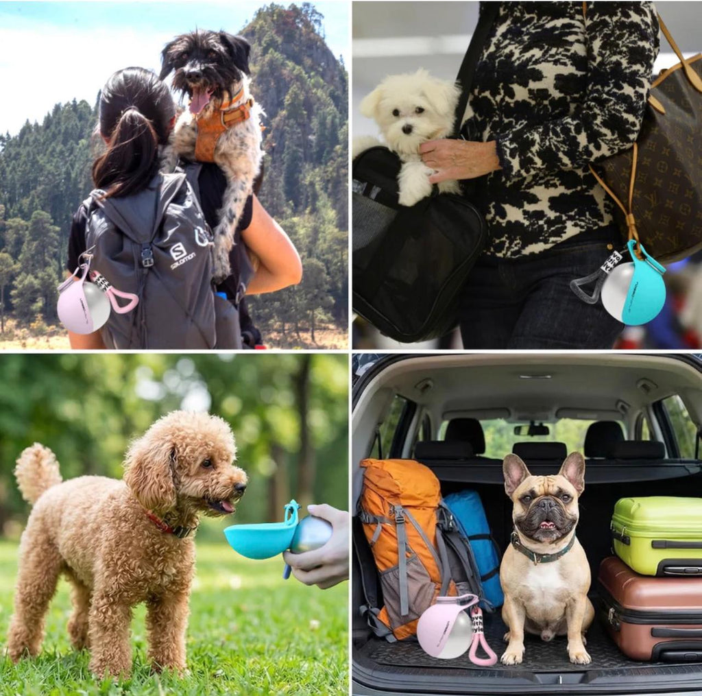 The PawFlask™ | Anti-Spill Travel Bottle